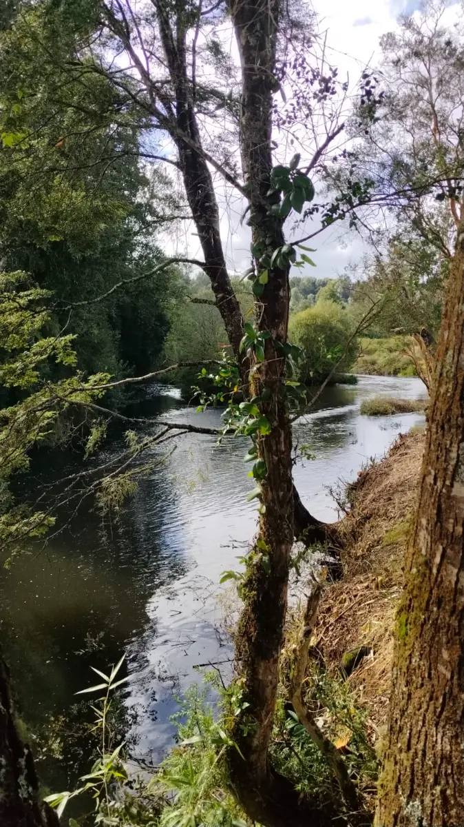 Río para pesca deportiva
