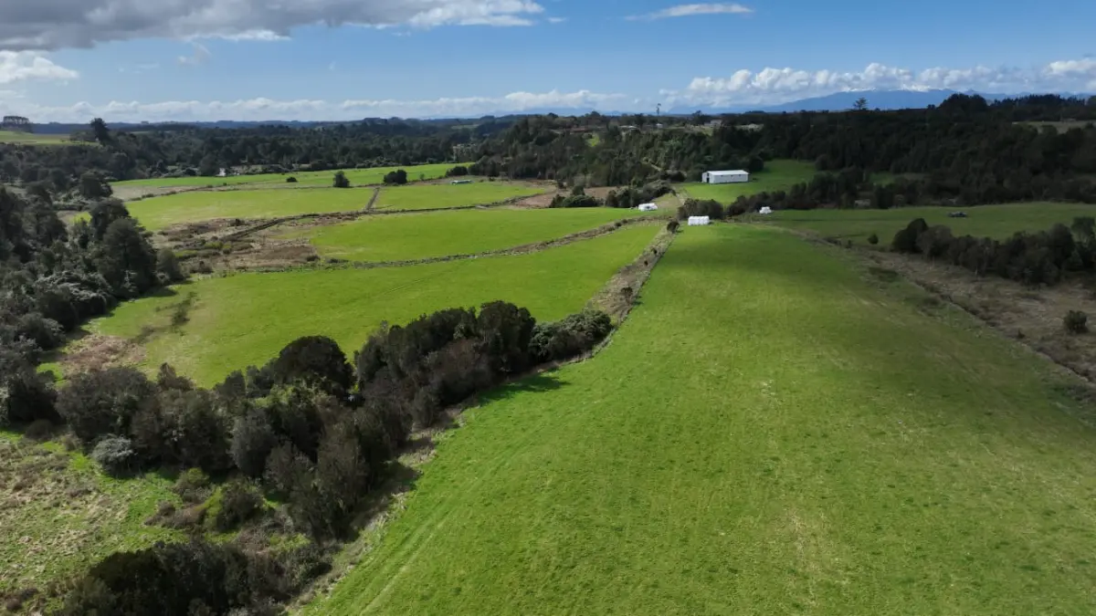 Fundo El Ciruelillo 2