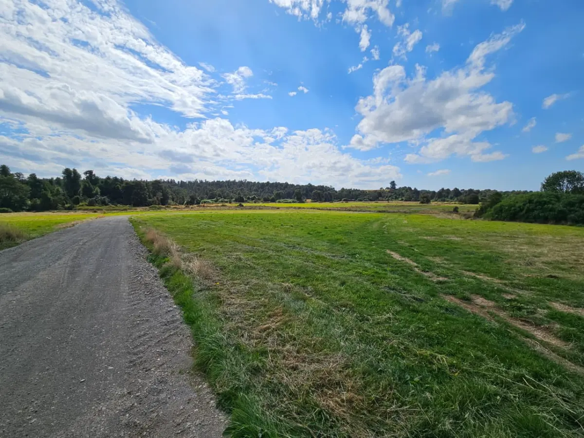 Fundo El Ciruelillo 4