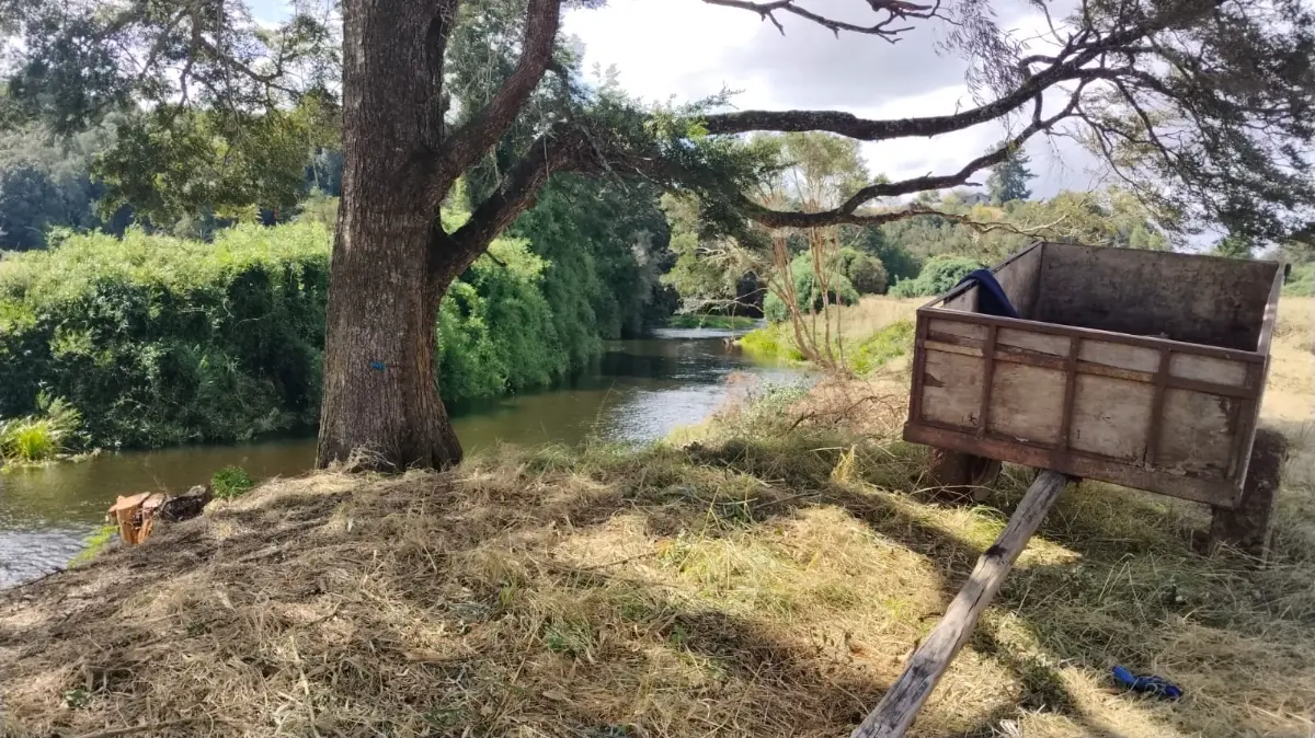 Fundo El Ciruelillo 1